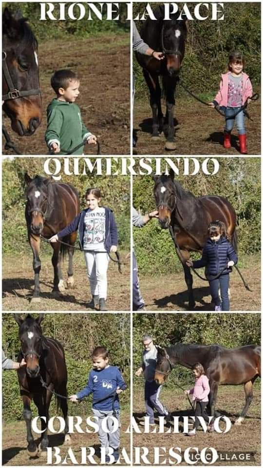 Palio di Siena, Associazione Proprietari, Allenatori, Allevatori Cavalli Palio: A Ronciglione il Rione La Pace fa avvicinamento ai cavalli per i&nbsp;bambini