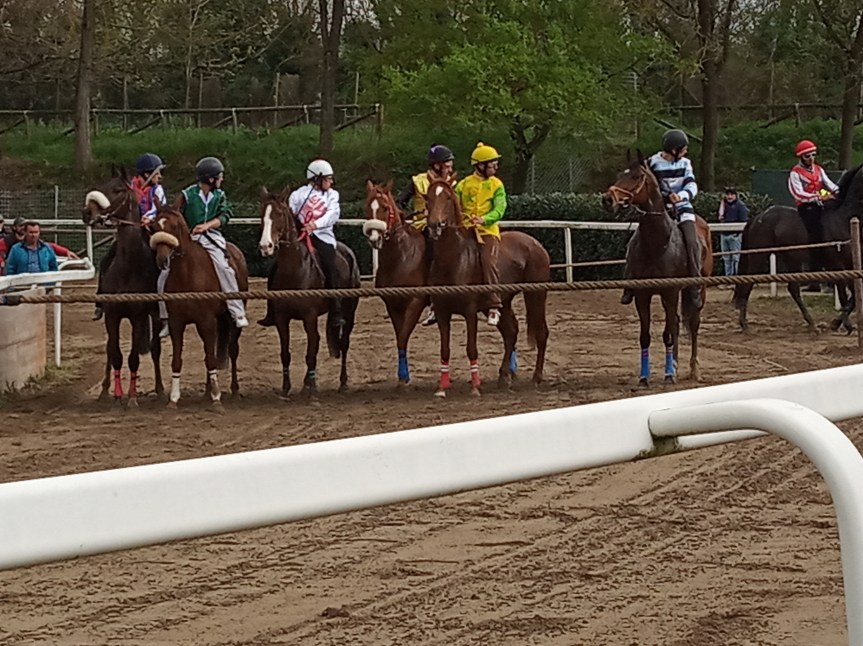 Palio di Fucecchio: Fucecchio prova a fare sul serio Corse il 25 luglio e a&nbsp;settembre