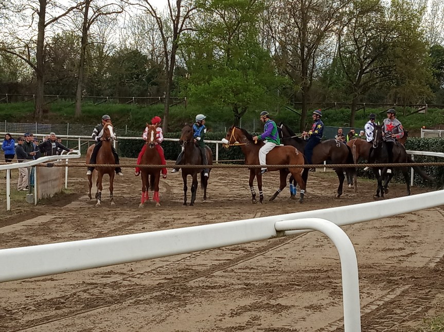 Palio di Fucecchio:  Oggi 28/04 Resoconto Seconda e Ultima Giornata di Corse di&nbsp;Primavera