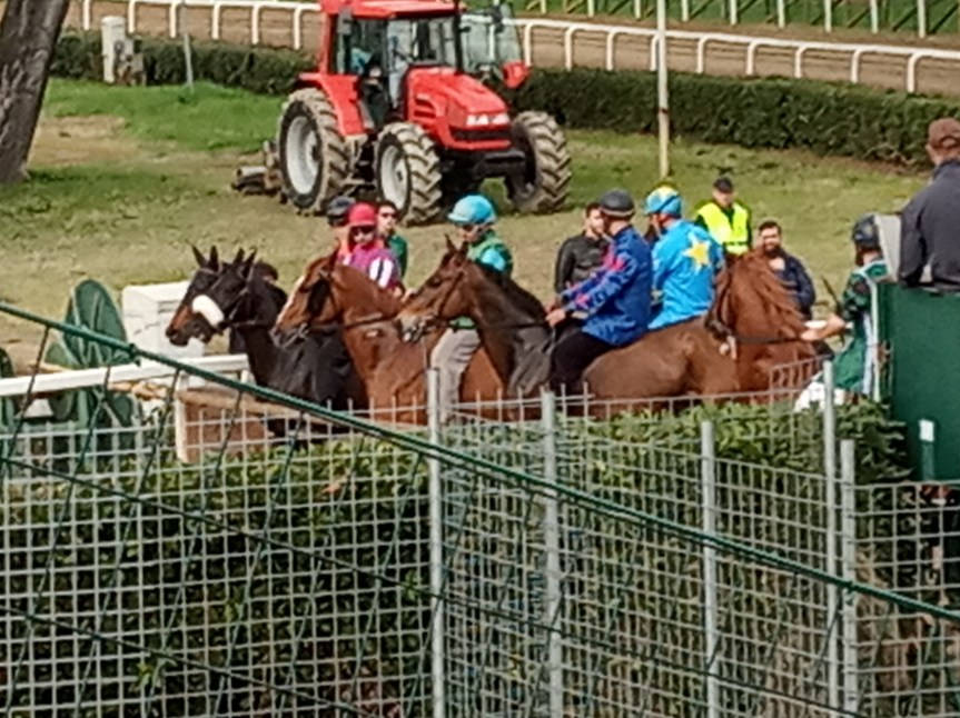 Palio di Fucecchio. le corse di Primavera si terranno il 30/05 a porte&nbsp;chiuse