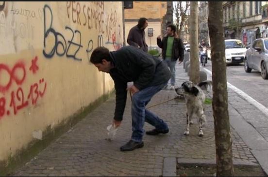 Siena: Ordinanza per la rimozione delle deiezioni&nbsp;canine