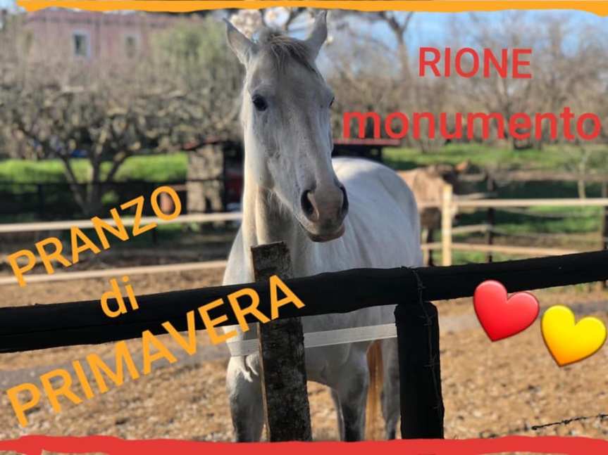 Corse a Vuoto, Rione Monumento: 28/04 Pranzo di&nbsp;Primavera