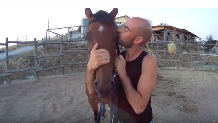 Palio di Siena:&nbsp;SARBANA