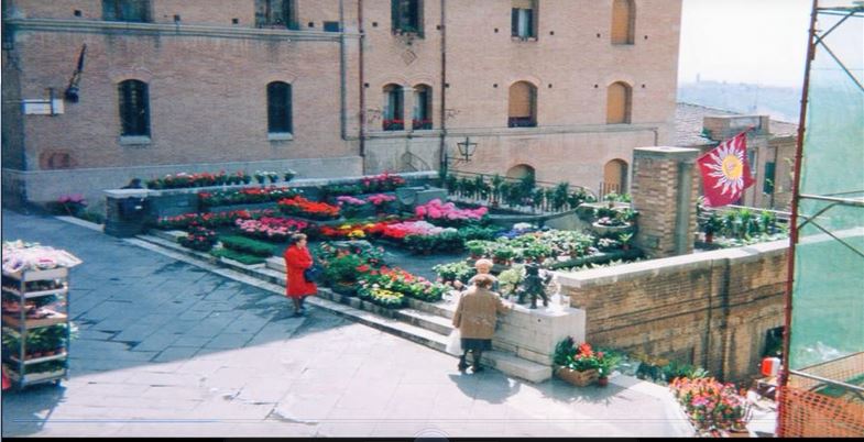 Siena, Contrada della Torre: 12-13-14/04 “33^ Mostra dei&nbsp;Fiori”