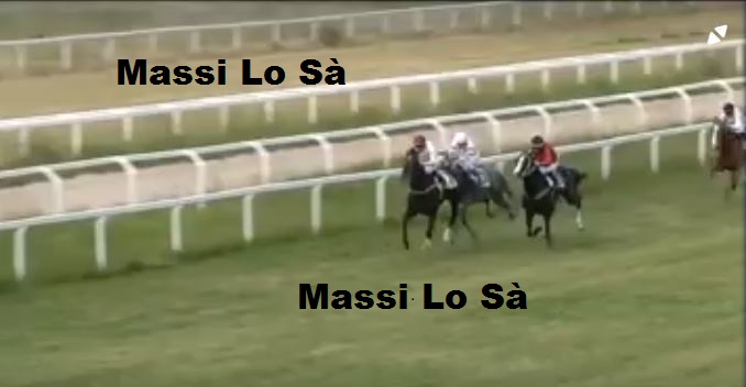 Ippica, Chilivani: Oggi 17/05 Risultati 1^ Corsa Vince Urania&nbsp;Bonorvese