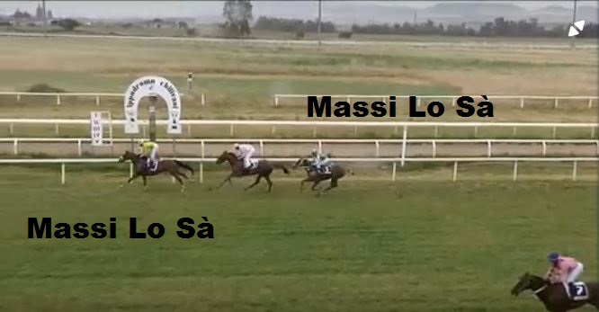 Ippica, Chilivani: Oggi 26/05 Risultati 1^ Corsa Vince&nbsp;Rijahid