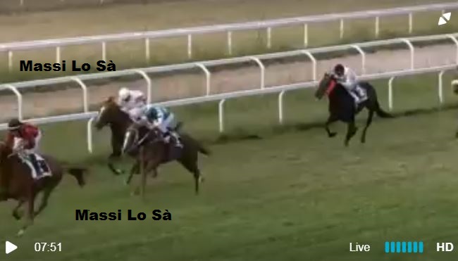 Ippica, Chilivani: Oggi 11/05 Risultati 5^ Corsa Vince Zio&nbsp;Fester