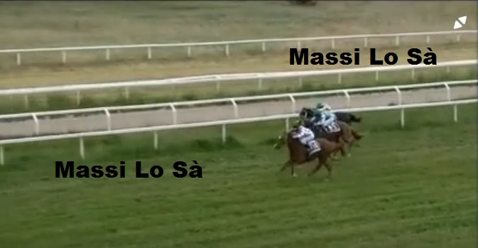 Ippica, Chilivani: Oggi 17/05 Risultati 5^ Corsa Vince&nbsp;Austesu