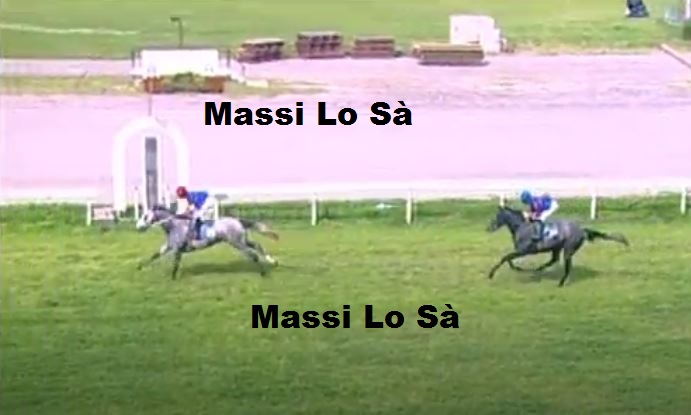 Ippica, Firenze:  Oggi 23/05 Risultati 2^ Corsa Vince&nbsp;Bontour