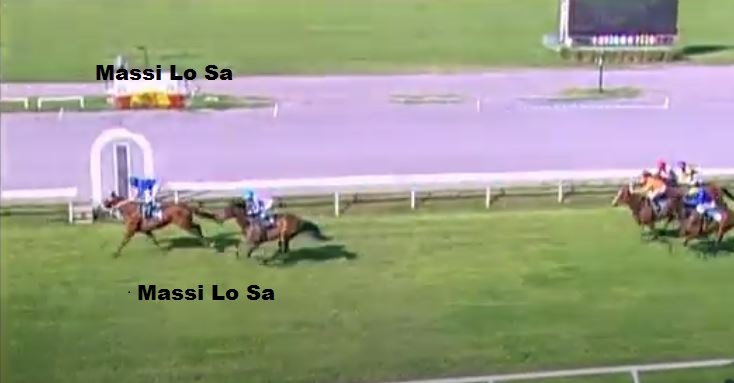 Ippica, Firenze: Oggi 09/05 Risultati 3^ Corsa Vince Briccona da&nbsp;Clodia