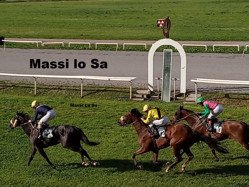 Ippica, Firenze: Oggi 09/05 Risultati 4^ Corsa Vince&nbsp;Django