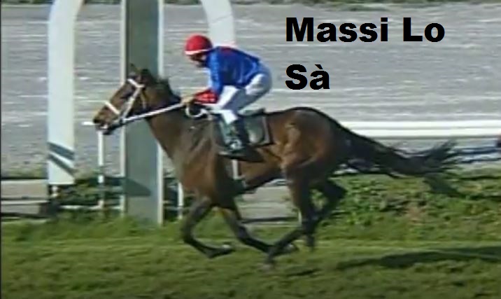 Ippica, Firenze: Oggi 16/05 Risultati 6^ Corsa Vince Ribelle da&nbsp;Clodia