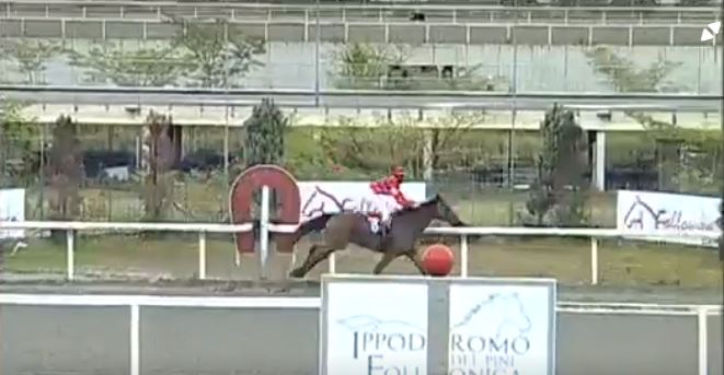 Ippica, Follonica: Oggi 29/05 Risultati 1^ Corsa Vince Up to the&nbsp;Limit