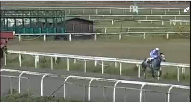 Ippica, Follonica: Oggi 28/05 Risultati 3^ Corsa Vince&nbsp;Vittorino