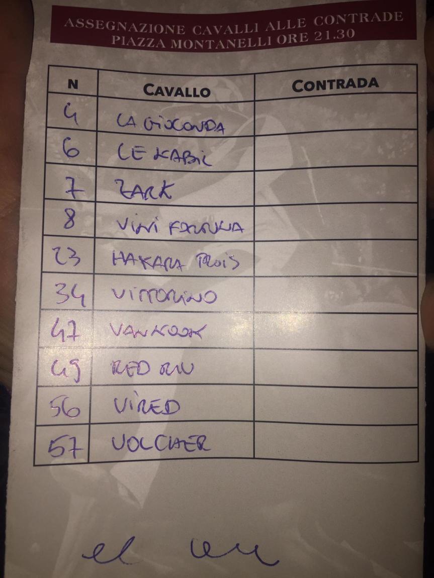 Palio di Fucecchio: Scelti i 10 cavalli per il Palio del&nbsp;19/05