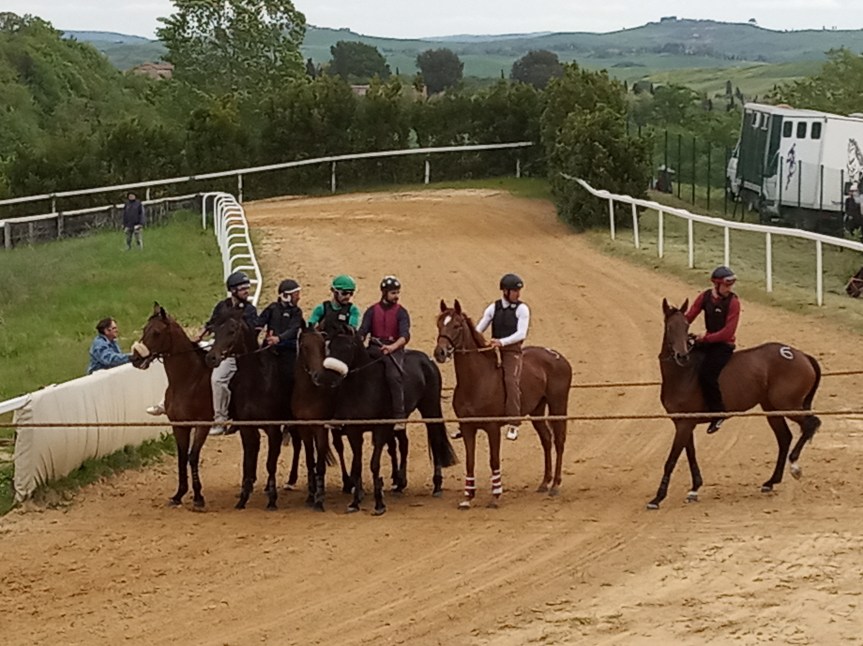 Palio di Siena: Più sicurezza. Anche Brio e Scompiglio costretti ad indossare il&nbsp;corpetto