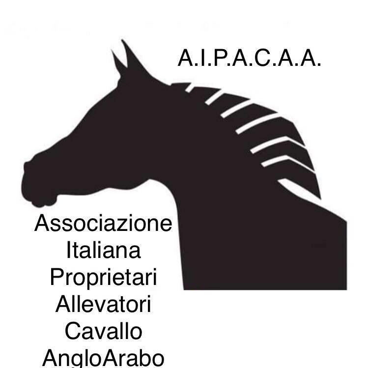 Ippica: Asta per Cavalli Anglo-Arabi, associazione&nbsp;A.I.P.A.C.A.A.