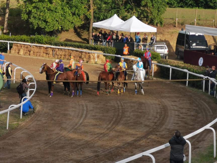 Palio di Fucecchio: Comunicato Stampa sulla sospensione delle&nbsp;attività