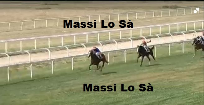 Ippica, Chilivani: Oggi 08/06 Risultati 4^ Corsa Vince&nbsp;Afrofrac