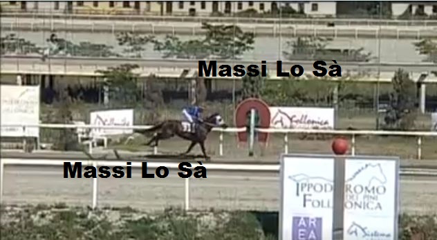 Ippica, Follonica: Oggi 04/06 Risultati 1^ Corsa Vince&nbsp;Antonimaria