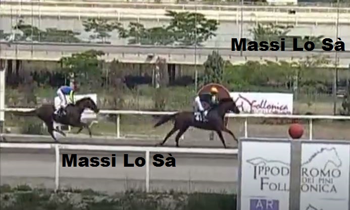 Ippica, Follonica: Oggi 08/06 Risultati 1 ^ Corsa Vince Ai Si Ti&nbsp;Leo