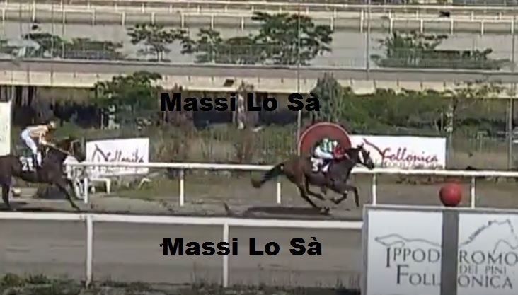 Ippica, Follonica: Oggi 08/06 Risultati 3^ Corsa Vince&nbsp;Zucarello