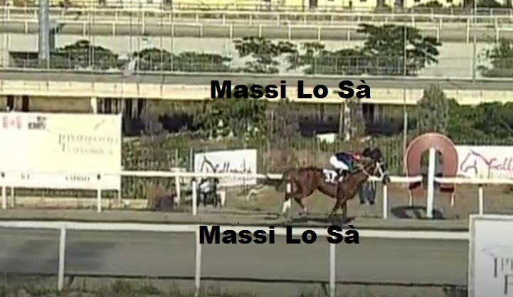 Ippica, Follonica: Oggi 22/06 Risultati 4^ Corsa Vince Unico de&nbsp;Aighenta