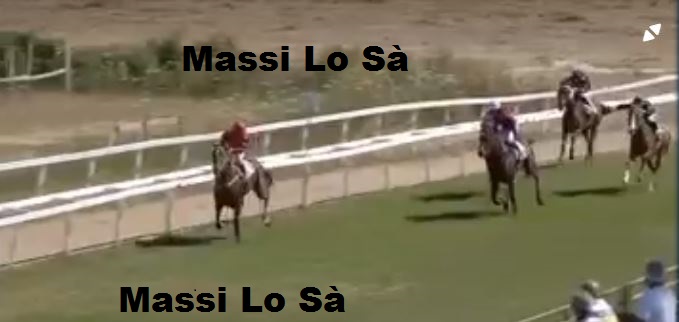 Ippica, Sassari: Oggi 17/06 Risultati 1^ Corsa Vince&nbsp;Andromaca