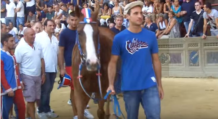 Palio di Siena: Gammede – I cavalli del Palio di&nbsp;Siena