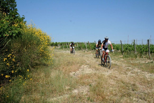 Provincia di Siena: Domenica 9 giugno il criterium nazionale per mountain bike nel sud&nbsp;senese