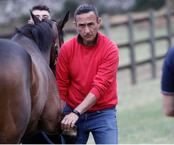 Palio di Siena: Palio di Siena del 2 luglio 2019, il bilancio del secondo giorno di&nbsp;previsite