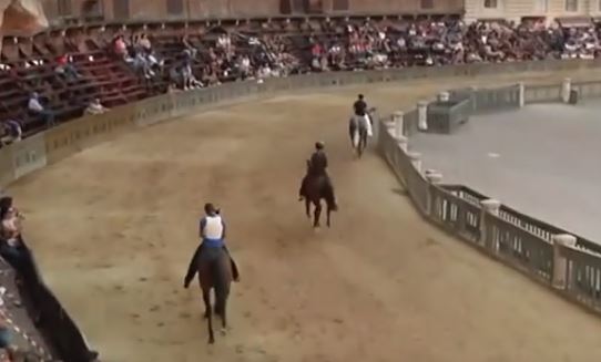 Palio di Siena: Prove regolamentate, l’entusiasmo dei cavalli esordienti