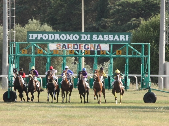 Ippica, Sassari: 02/08 Partenti 2,4 e 6 Corsa per cavalli Anglo-Arabi