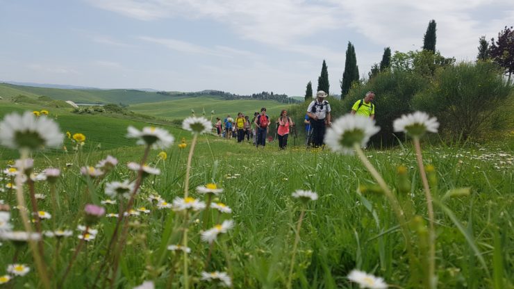 Siena e Provincia: ”Trekking Guelfi e Ghibellini” sulle tracce della battaglia di&nbsp;Montaperti