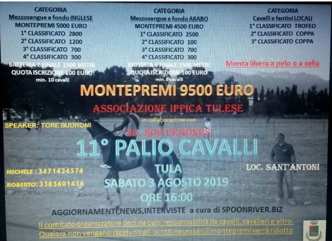 Pallii Airvaas, Palio di Tula: 03/08 la corsa degli A.A divisi per Fondo. 9500 € il montepremi.