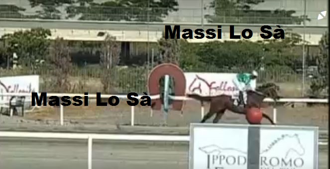 Ippica, Follnica: Oggi 19/07 Risultati 1^ Corsa Vince&nbsp;Arsenicolupen