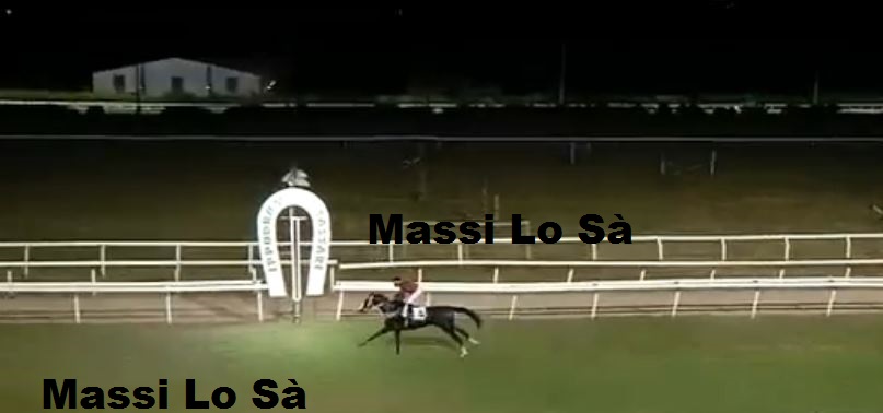 Ippica, Sassari: Oggi 26/07 Risultati 2^ Corsa Vince Verbena&nbsp;Rosa