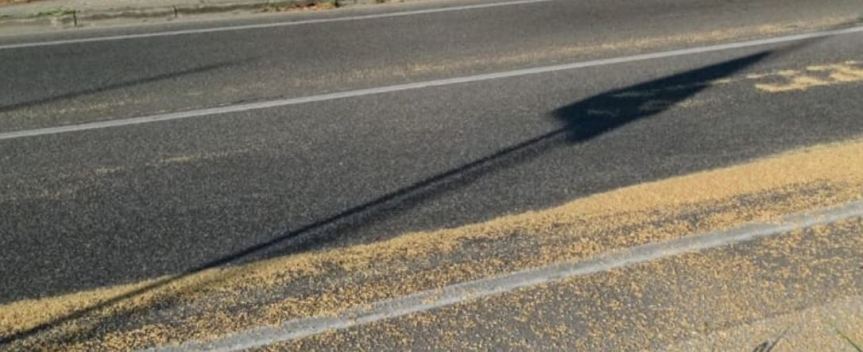 provincia di Siena: Perde dal camion tonnellate di grano lungo tre chilometri di&nbsp;strada
