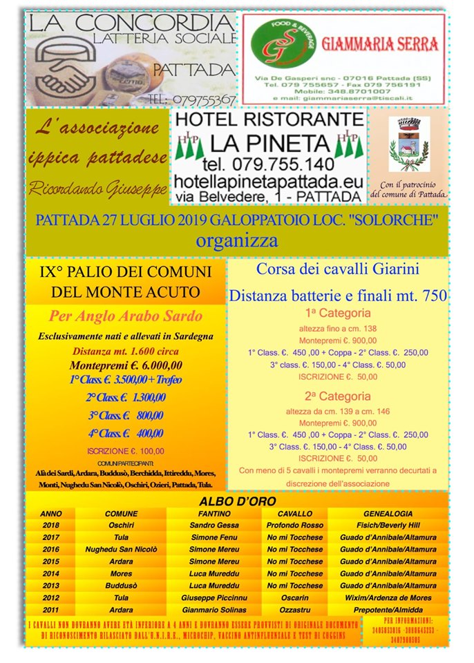 Palii Airvaas, Pattada: 27/07 IX° Palio dei Comuni del Monte&nbsp;Acuto