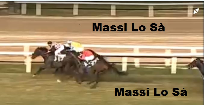 Ippica, Varese: Oggi 20/07 Risultati 3^ Corsa Vince&nbsp;Krakersjack