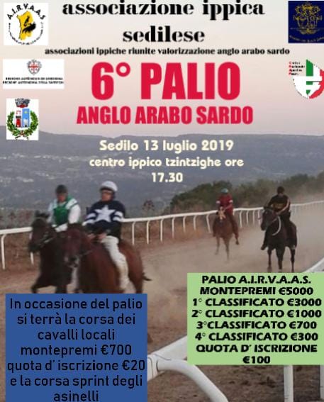 Palii Airvaas, Sedilo: Ieri 13/07 Sarulesu Isteddau con Pasquale Salis vengono a vincere il 6° Palio Anglo-Arabo&nbsp;Sardo