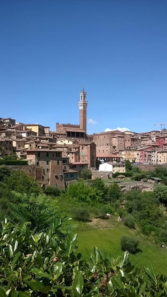 Siena: Il Comune seleziona un neolaureato in architettura per un tirocinio formativo&nbsp;retribuito