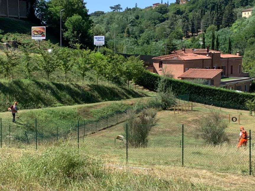 Siena: Tagliata l’erba alta all’area cani in Pescaia