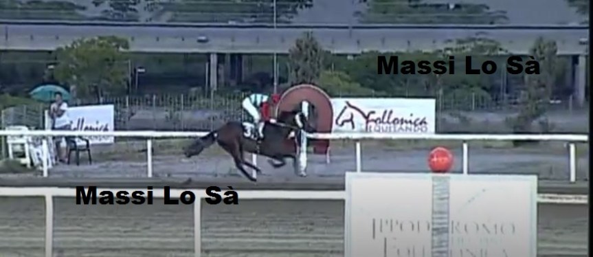 Ippica, Calendario mesi Maggio, Giugno e Luglio 2020. Ecco tutti i PDF con date, giornate e&nbsp;stanziamenti