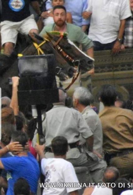 PALIO DI SIENA, PALIO NOTES: RIFLESSIONI DEL DAY&nbsp;AFTER