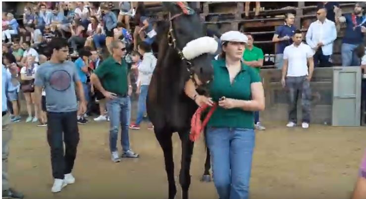 Palio di Siena:  I Cavalli del Palio di Siena –&nbsp;Tornada