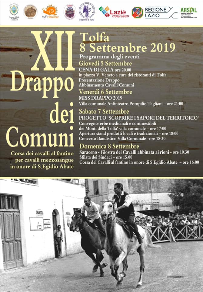 Palii, Tolfa: 08/09 XII° Drappo Dei&nbsp;Comuni