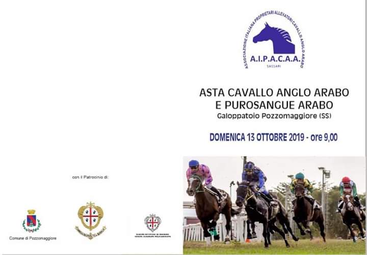 Ippica, AIPACAA: 13/09 Asta Cavallo Anglo-Arabo e Purosangue Arabo. Libretto aggiornato e&nbsp;definitivo
