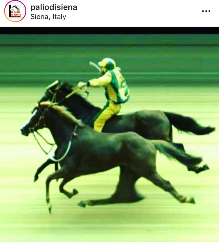 Palio di Siena, Palio dell’Assunta: Ecco le pagelle dei&nbsp;fantini