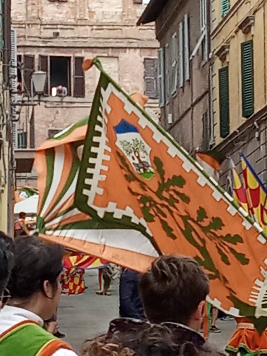 Siena: Tradizione La Selva dipinge le vie della&nbsp;città